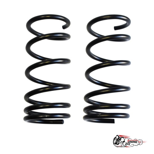 Пружины Тр ВАЗ 2101 задние (-120)