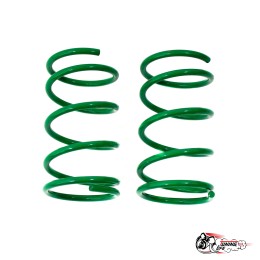 Пружины Тр ВАЗ 2108/10 передние (-70)