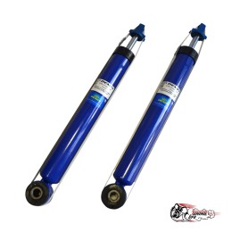 Амортизаторы ДЕМФИ зад. подв. Веста Комфорт газ