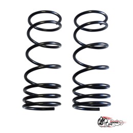 Пружины Тр ВАЗ 2101 передние (стандарт)