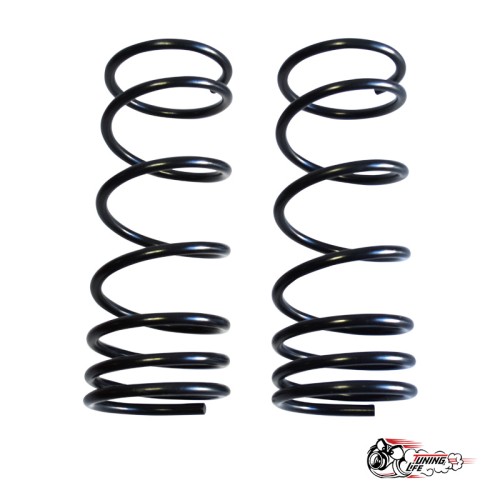 Пружины Тр ВАЗ 2101 передние (стандарт)