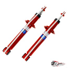 Амортизаторы ДЕМФИ зад. подв. 1119 +15мм кросс газ