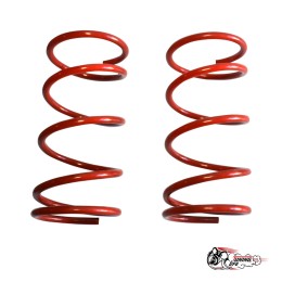 Пружины Тр ВАЗ 2101 передние (-30)