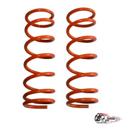 Пружины Тр ВАЗ 2101 задние (-50)