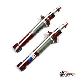 Амортизаторы ДЕМФИ зад. подв. 2108-70 (регул чашка) газ