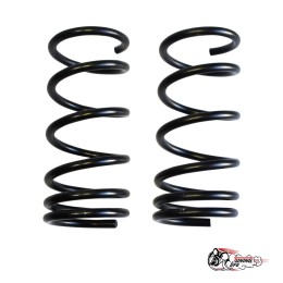 Пружины Тр ВАЗ 2108/10 задние (-120)