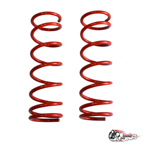 Пружины Тр ВАЗ 2108/10 задние (-30)