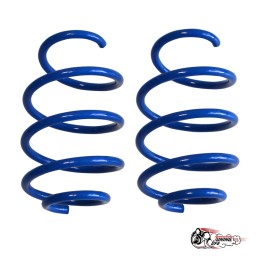 Пружины Тр ВАЗ Приора передние (-90)