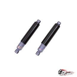 Амортизаторы СС20 задние 2101-07 шоссе (кт)