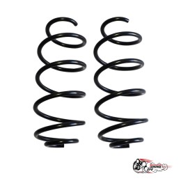 Пружины Тр ВАЗ Приора перед +20