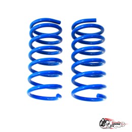 Пружины Тр ВАЗ 2101 передние (-90)