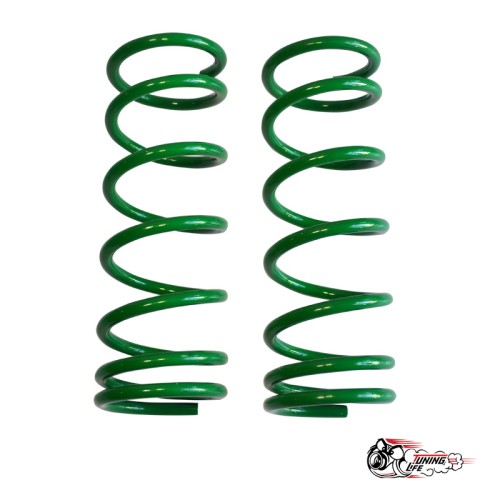 Пружины Тр ВАЗ 2101 задние (-70)