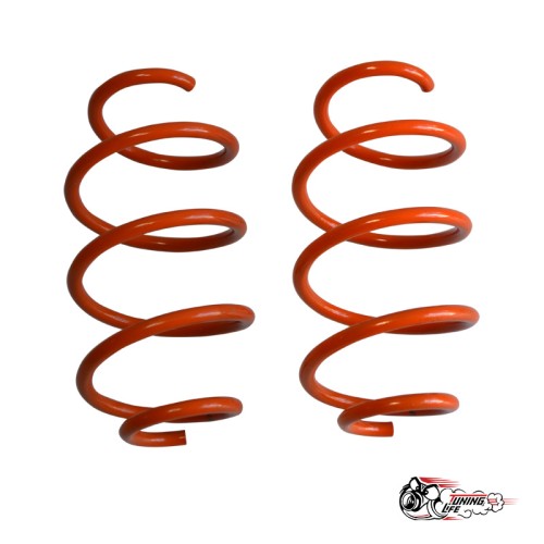 Пружины Тр ВАЗ Приора передние (-50)