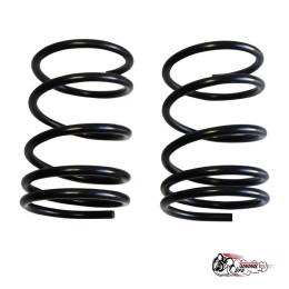 Пружины Тр ВАЗ 2108/10 передние (-120)