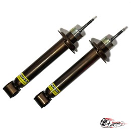 Амортизаторы АСТОН задней подвески 2110 / 2170 (-120)