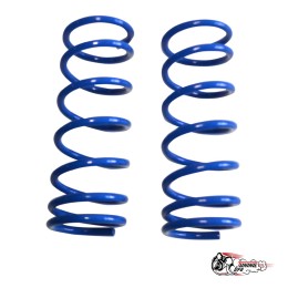 Пружины Тр ВАЗ 2101 задние (-90)