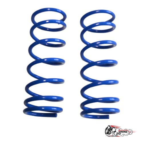 Пружины Тр ВАЗ 2101 задние (-90)