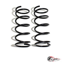 Пружины Тр ВАЗ 2108/10 перед +20 УС