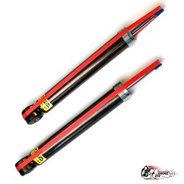 Амортизаторы АСТОН задней подвески 2180 (-50)