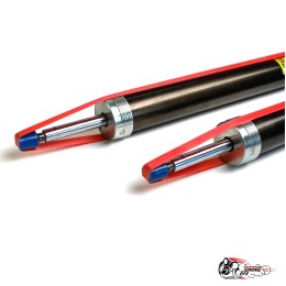 Амортизаторы АСТОН задней подвески 2180 (-50)