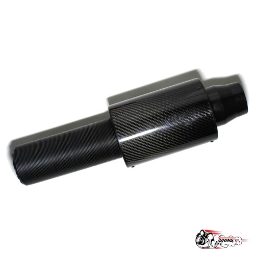 Холодный впуск в карбоновом корпусе закрытого типа