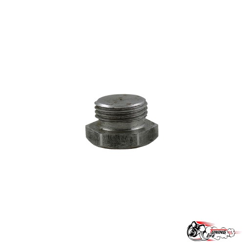 Заглушка датчика кислорода