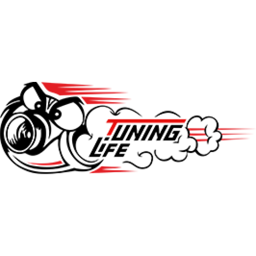 Паук СТТ 2114 8V