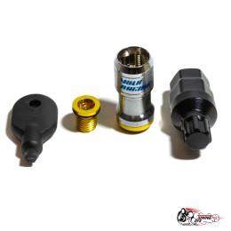 гайки Volks 1.25 золотые