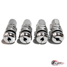 Ниппели для дисков (серебро)