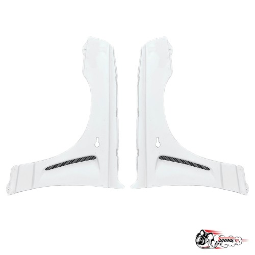 Крылья 2110-12 ДТМ стеклопластик