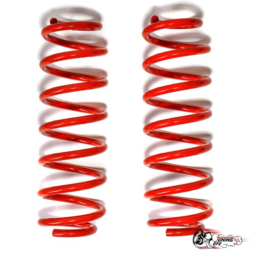 Пружины Polo mk5\\rapid (-30) задние