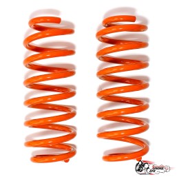 Пружины Polo mk5\\rapid (-50) задние