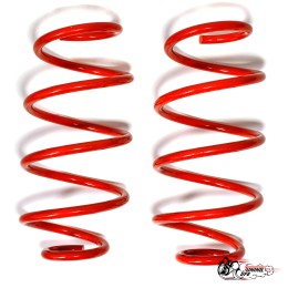 Пружины Polo mk5\\rapid (-30) передние