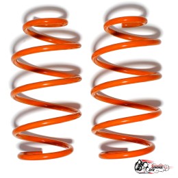 Пружины Polo mk5\\rapid (-50) передние