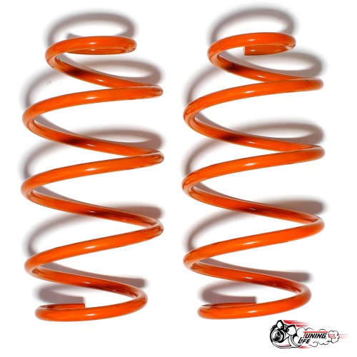 Пружины Polo mk5\\rapid (-50) передние