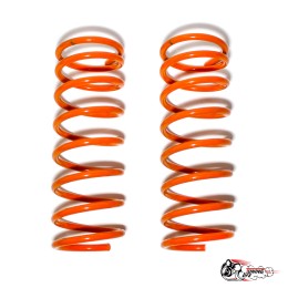 пружины KIA рио3\\солярис задние -50