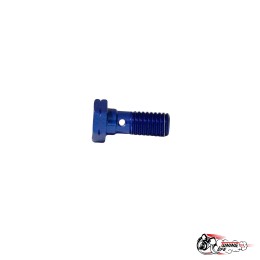 банджо болт м10-1.25